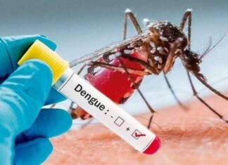 Día mundial contra el Dengue: advierten el repunte de casos durante ciclo de lluvias