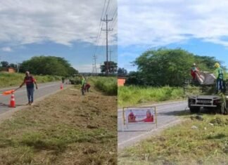 Lara Bella y Segura fortalece plan de desmalezado en la región