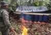 FANB destruye campamento minero en Amazonas