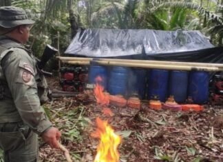 FANB destruye campamento minero en Amazonas