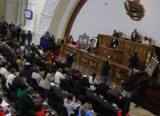 AN aprobó en primera discusión la Ley de los Comandos para la Defensa Integral de Venezuela