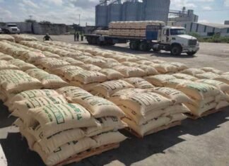 Emcoex apuntala más de 60% de toda la captación de divisas por exportaciones en Lara