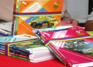 Venta de textos escolares cayó entre 20% y 30%