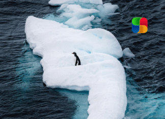 Fomentan soluciones sostenibles para actuar contra efectos nocivos del cambio climático