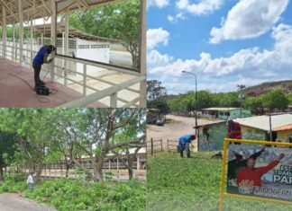 Ejecutan trabajos de rehabilitación en el Complejo Agropecuario «Juan Canelón»