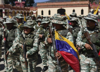 FANB evaluará funcionamiento de unidades milicianas en comunidades