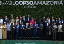 Líderes de la COP30 anunciaron crear coalición para impulsar los mercados de créditos de carbono